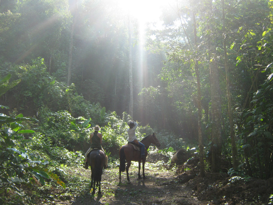 Jungle Spa Adventure Horseback Tour Photo