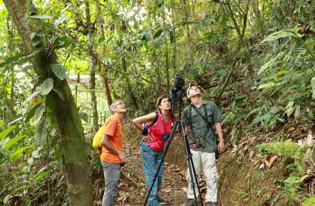 Bird Watching Photo