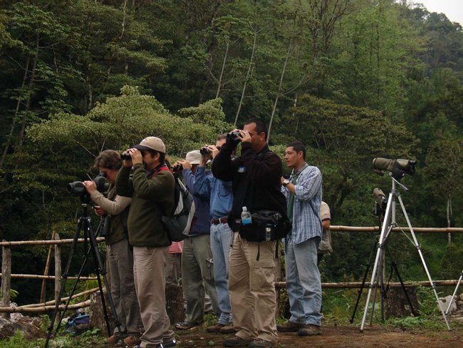 Observación de Aves en Antigua Photo