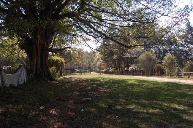 Observación de aves en finca San Santiago Photo