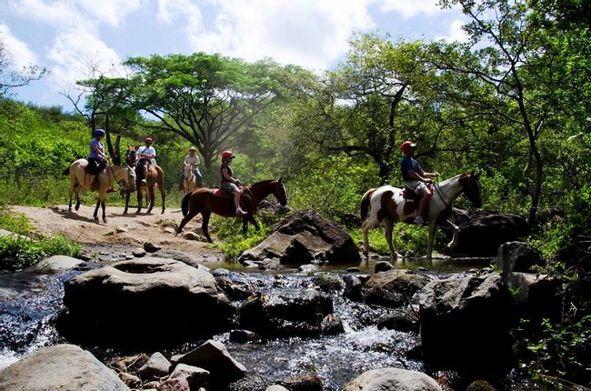 Borinquen Day Package: Zip lines and Horseback Riding tour Photo