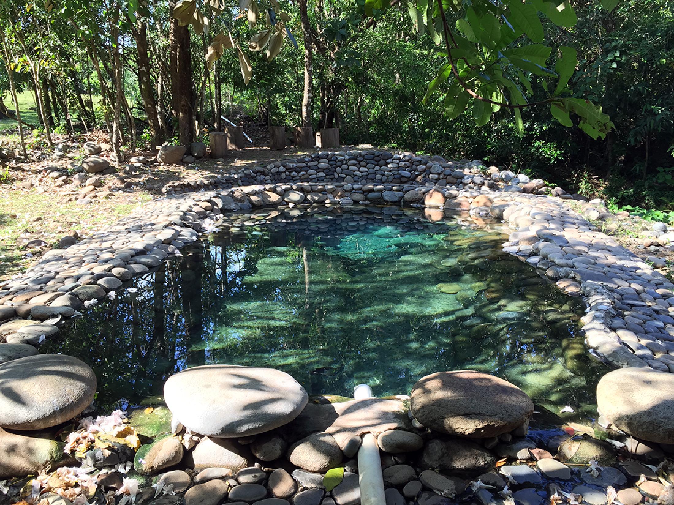 Boquete Hot Springs Tour - Boquete, Panama