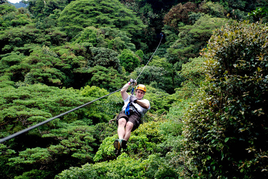 Canopy and Suspension Bridges (Gold Pack) Photo