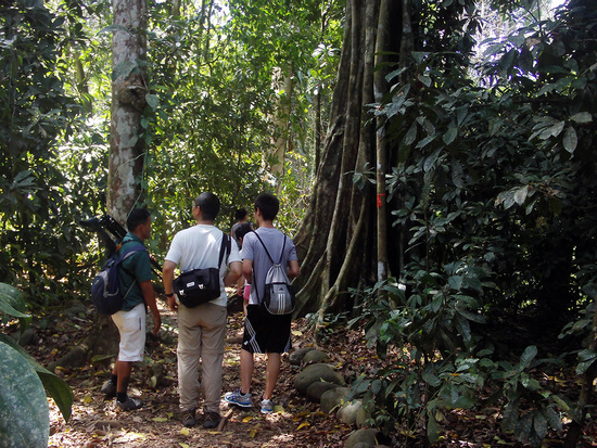 Carara National Park Photo