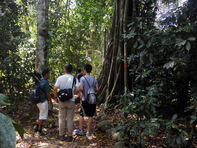 Tour del Parque Nacional Carara Photo