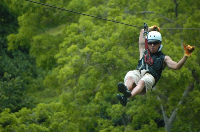 Canopy Tour en el Caribe Photo