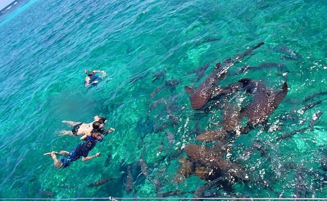 Navegando en Cayo Caulker Photo