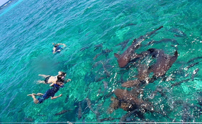 Caye Caulker Day Sail Photo