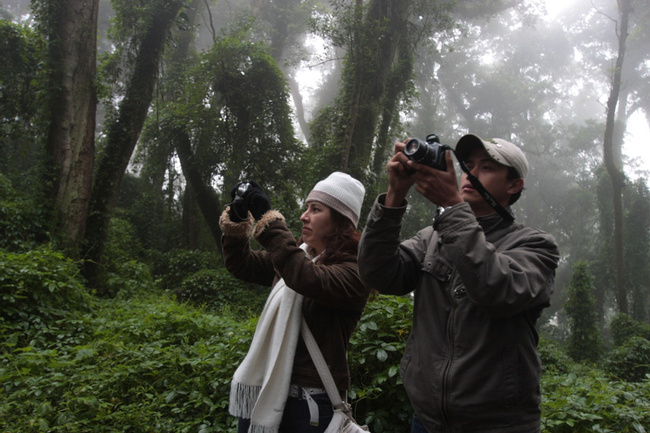 Unimog to Mirador & Cloud Forest Tour Photo