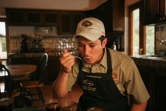 Professional Coffee Cupping Photo