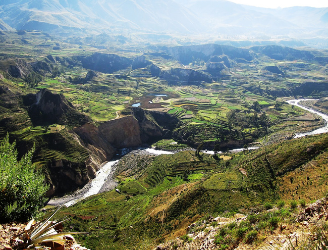 Full-Day Colca Canyon Photo