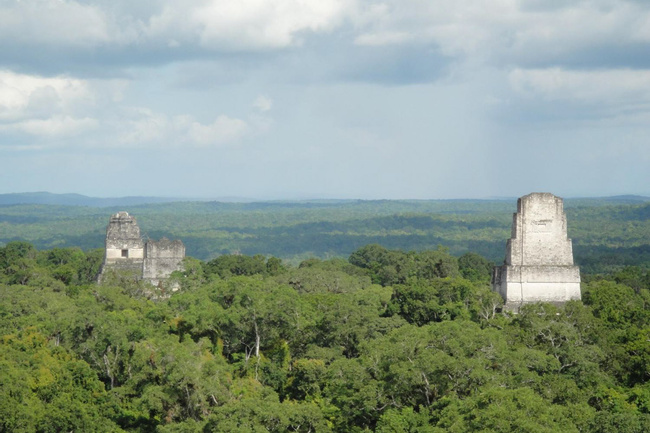 Tikal Colectivo Photo