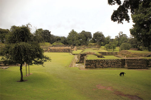 Mayan Cosmology and Archaeology Tour - GA Photo