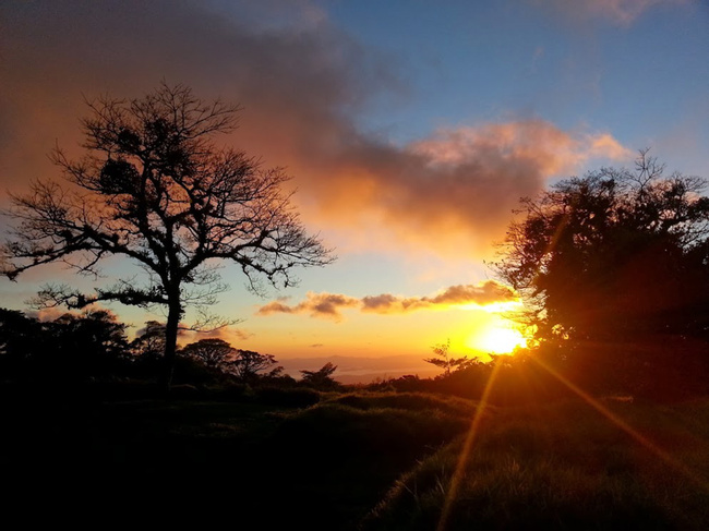 Curi Cancha Reserve Night Walk Photo