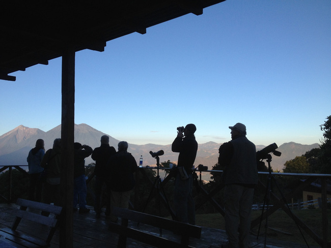 Finca El Pilar and its Hummingbirds Photo