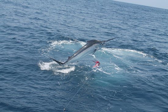 Fishing Tour Photo