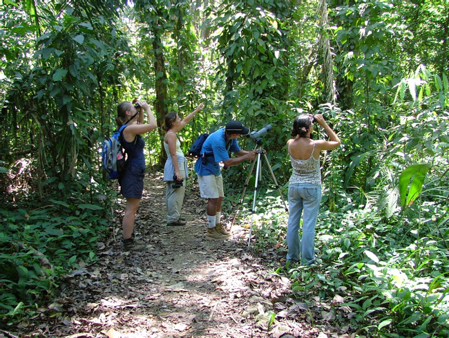 Hacienda Baru Rainforest Birdwatching  Photo