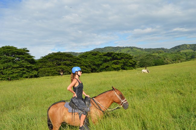 Cabalgata por la Hacienda El Cenízaro Photo