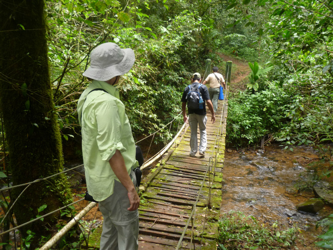 Herrera Highlands: Farms and Forests Photo