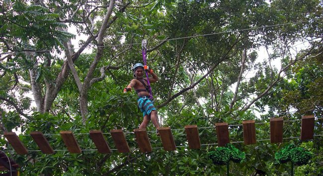 Tour de cuerdas altas, caída libre & Rapel en la Ceiba Photo