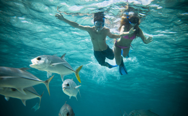 Snorkeling Adventure with Sharks and Rays at Hol Chan Marine Reserve Photo