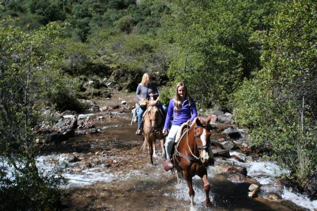 Paseos a caballo en Hacienda Chalán Photo