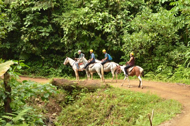 Cabalgata en Manuel Antonio Photo