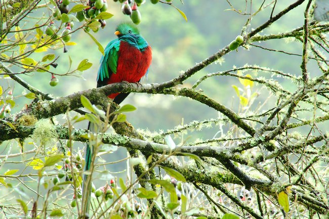 Parque Nacional Juan Castro Blanco Photo