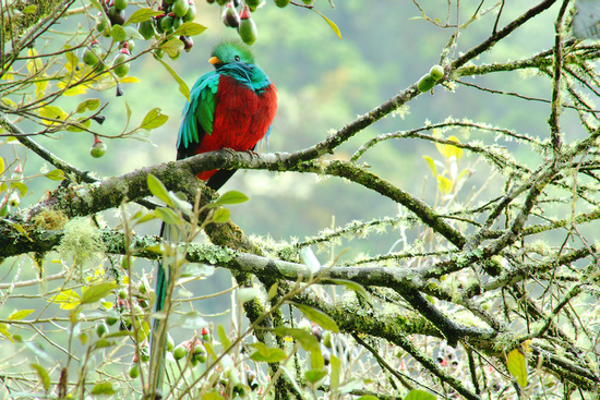 Juan Castro Blanco National Park Photo