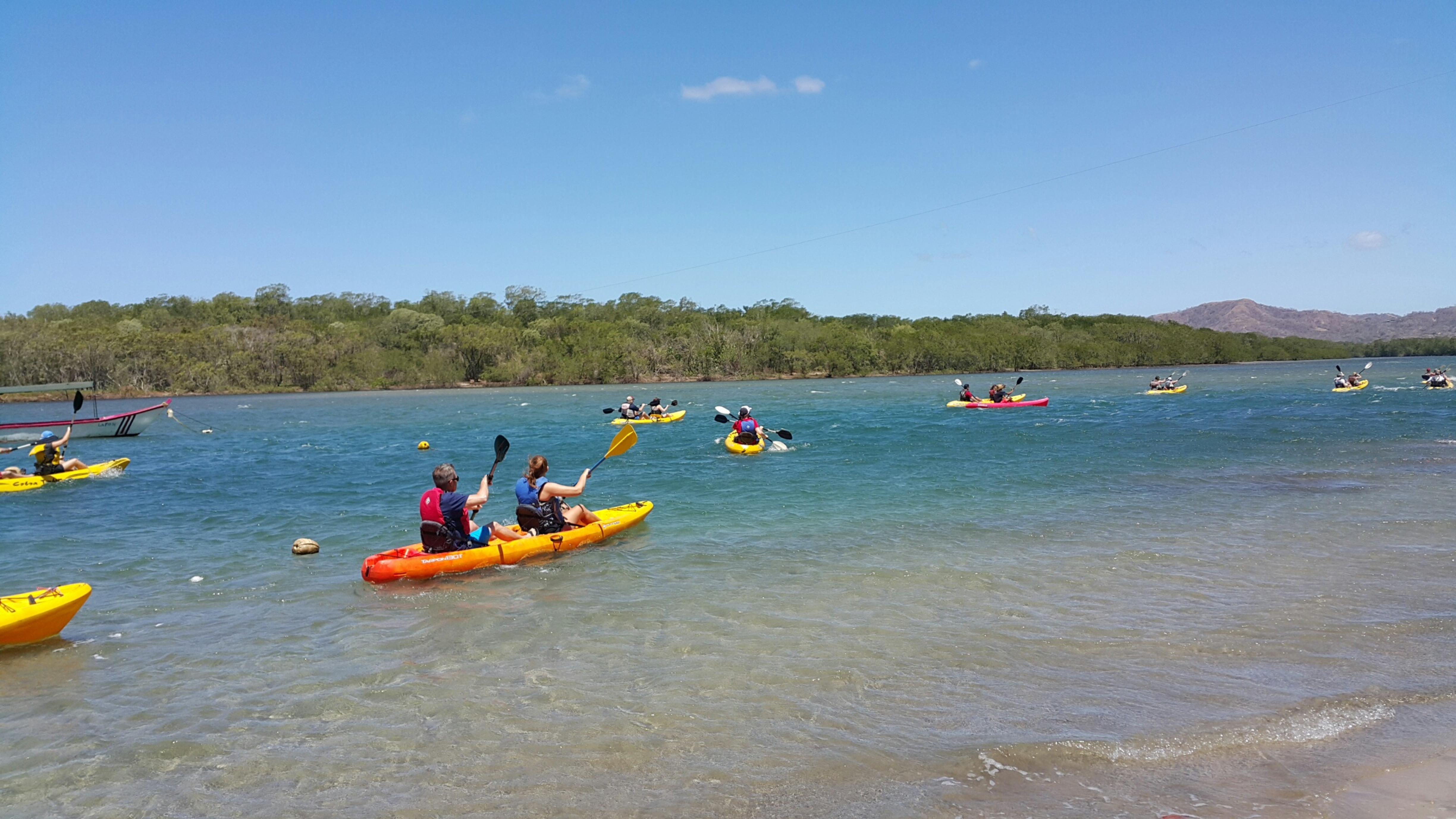 Tamarindo Estuary Kayak Tour Tamarindo Costa Rica