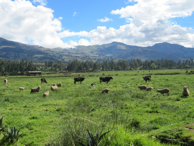 Hacienda La Collpa Photo