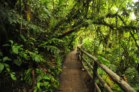 La Paz Waterfall Gardens Tour (Entrance Only) Photo