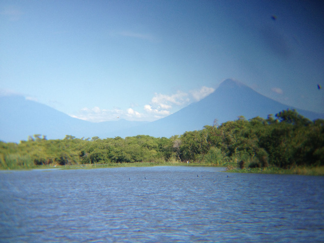 Mangrove and Salt Mine Boat Ride Photo