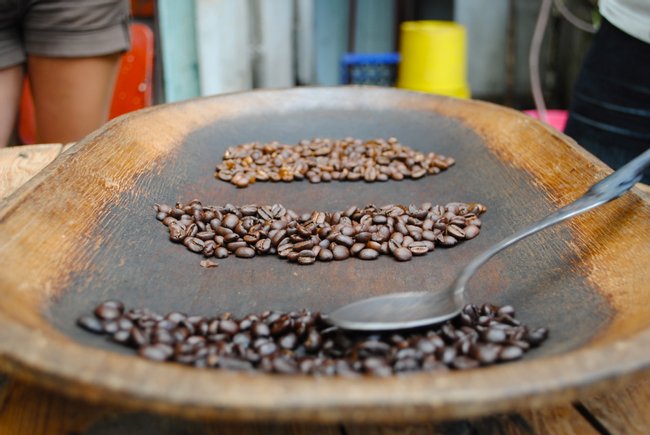 Milagrosa Farm Coffee Tour Photo