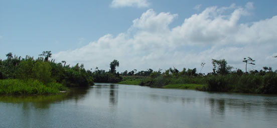 Monkey River EcoTours Photo