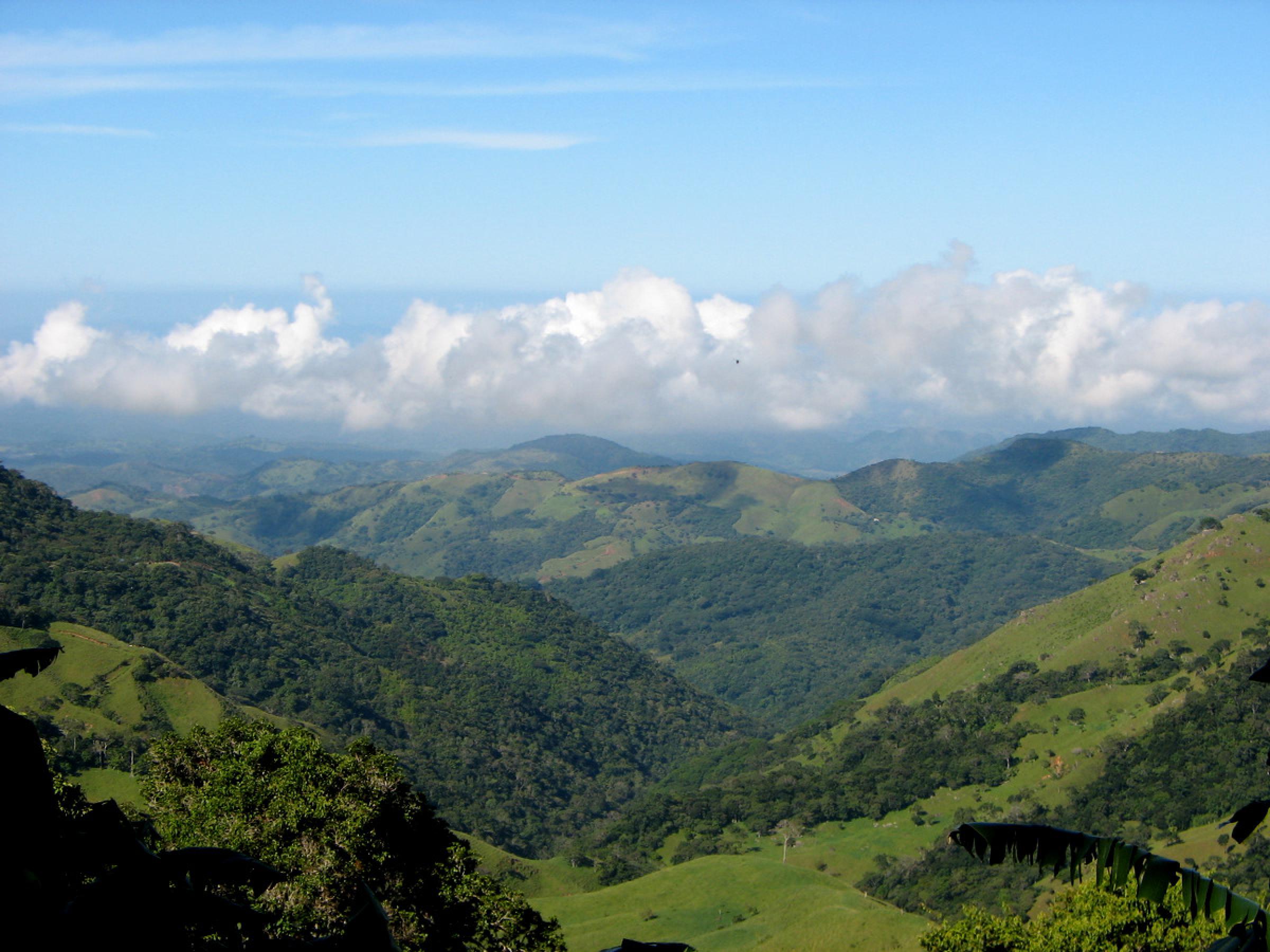 Selvatura One Day Tour - Monteverde, Costa Rica