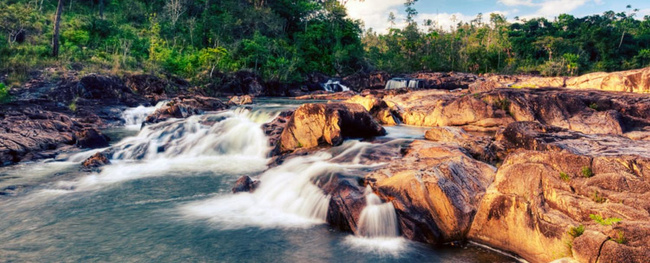 Mountain Pine Ridge Forest Reserve Photo