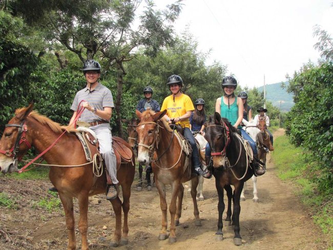 Excursión en Mula Photo