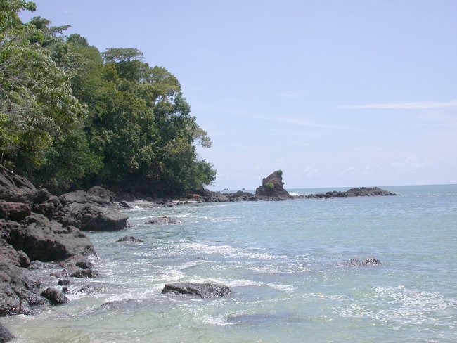 Tour de un día en el Parque Nacional Manuel Antonio Photo