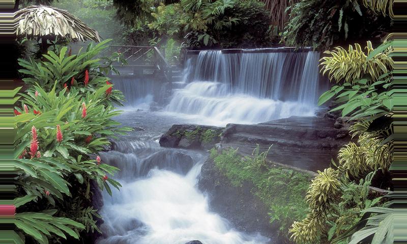 Un Día En Las Aguas Termales De Tabacón Hot Springs La Fortuna Costa Rica