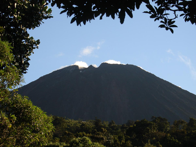 Pacaya Volcano Tour Photo