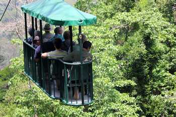 Nature Pass: Aerial Tram and Butterfy Garden