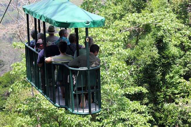 Nature Pass: Aerial Tram and Butterfy Garden Photo