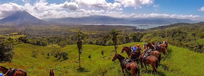 Los caballos de Paco Photo