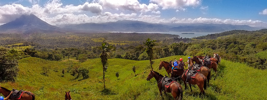 Pacos Horses  Photo