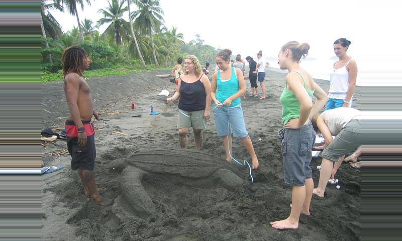 Pacuare Sea Turtle Volunteering - Pacuare, Costa Rica