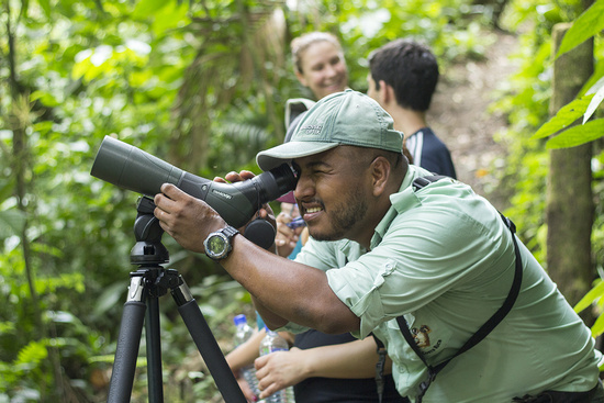 Rain Forest Birdwatching Tour Photo