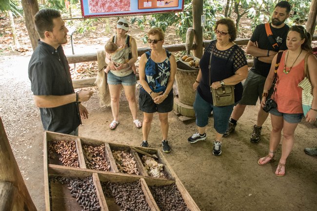 Tour de Chocolate por el Bosque Photo