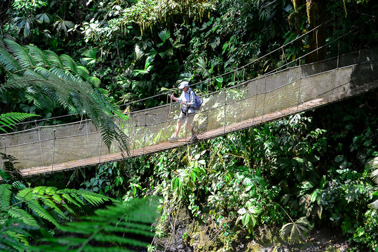 Rainmaker Park, Hanging Bridges and Waterfall Tour Photo