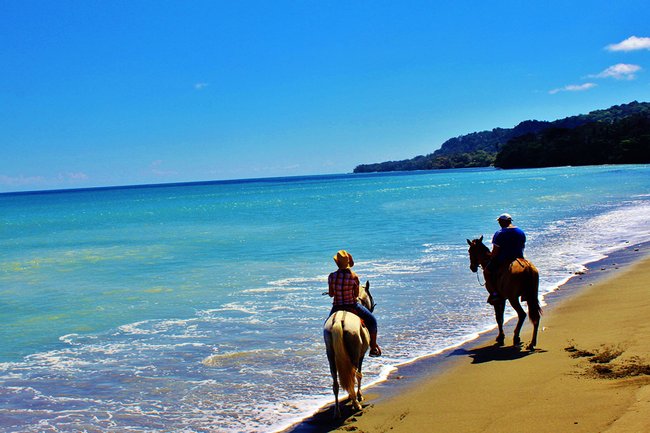 Tour a caballo en el Rancho Tropical  Photo